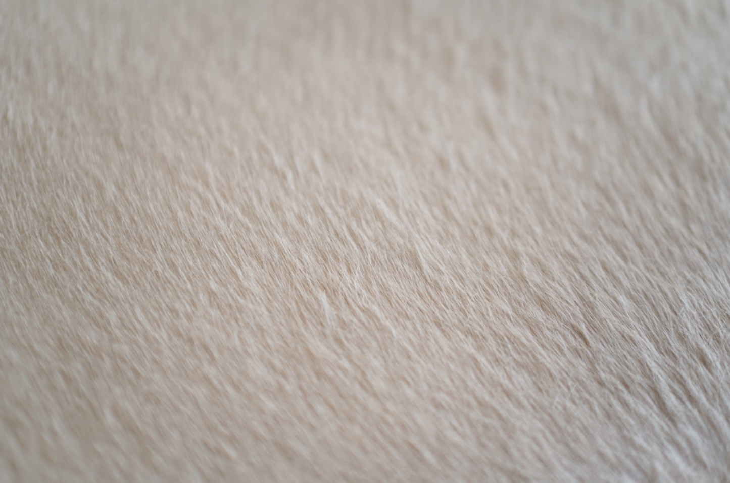 Sculptural ICO Bench Series 48 in Espresso