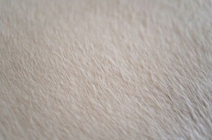 Sculptural ICO Bench Series 48 in Espresso