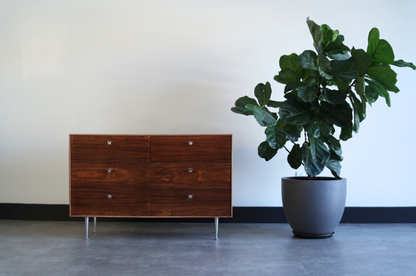 Rosewood Thin Edge Dresser by George Nelson for Herman Miller, C. 1950s