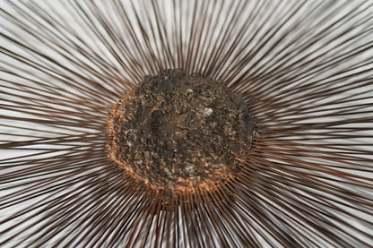 Industrial Metal Alloys Sunburst Wall Sculpture, C. 1970s